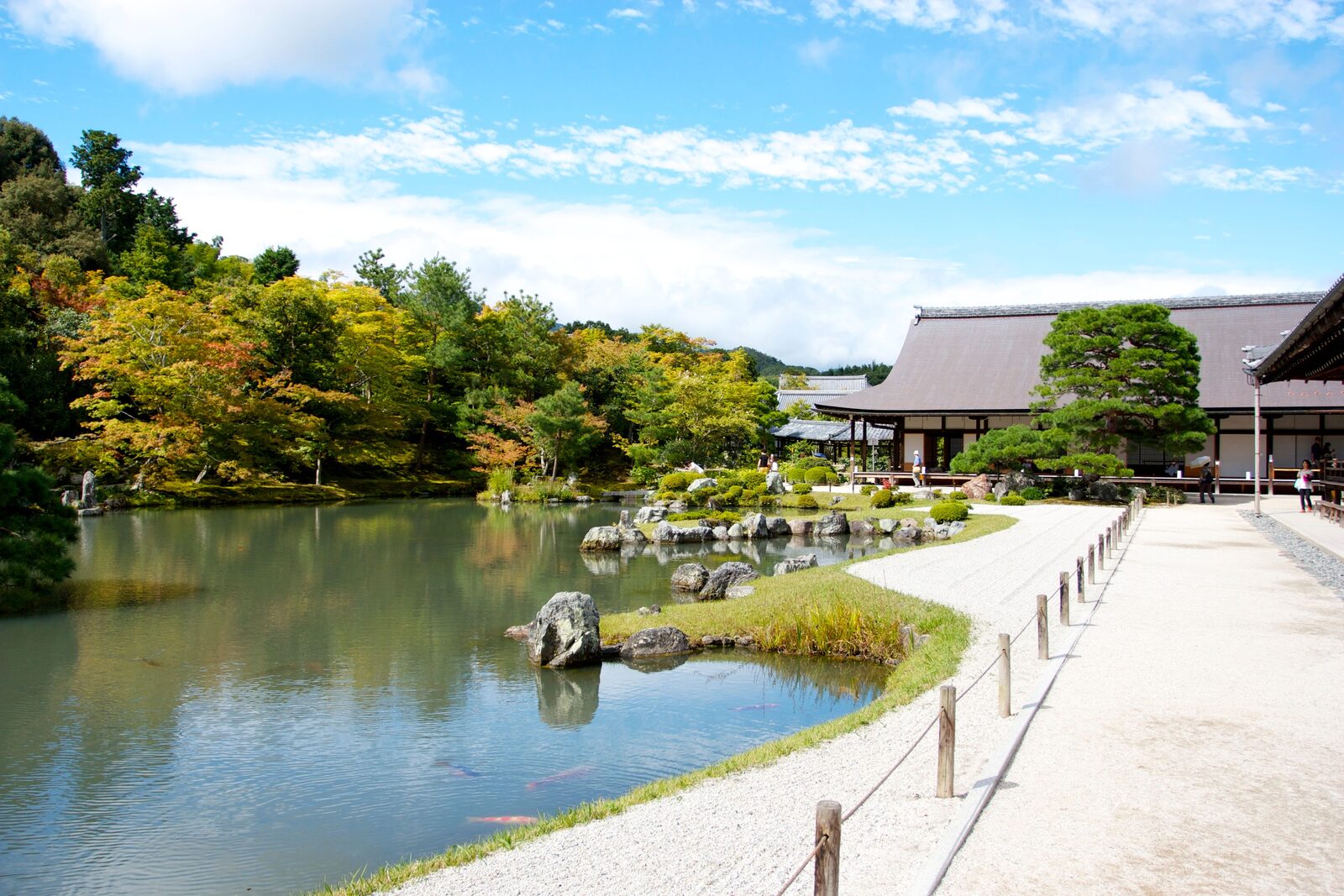 静かな日本庭園